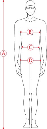 Arena men's wetsuit size guide